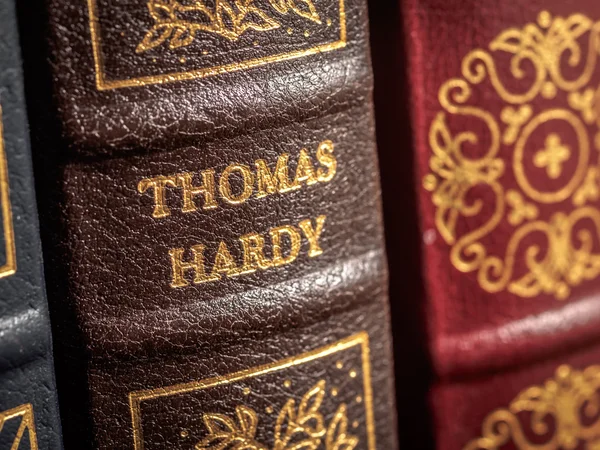 Thomas Hardy autore fittizio — Foto Stock