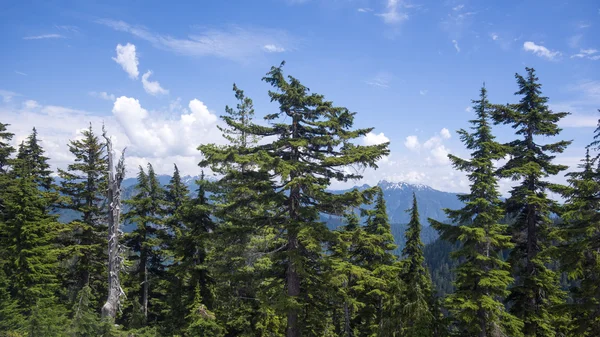 Parti hegység közelében vancouver — Stock Fotó