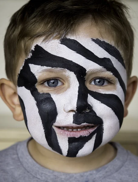 Zebra boya karşı karşıya. — Stok fotoğraf