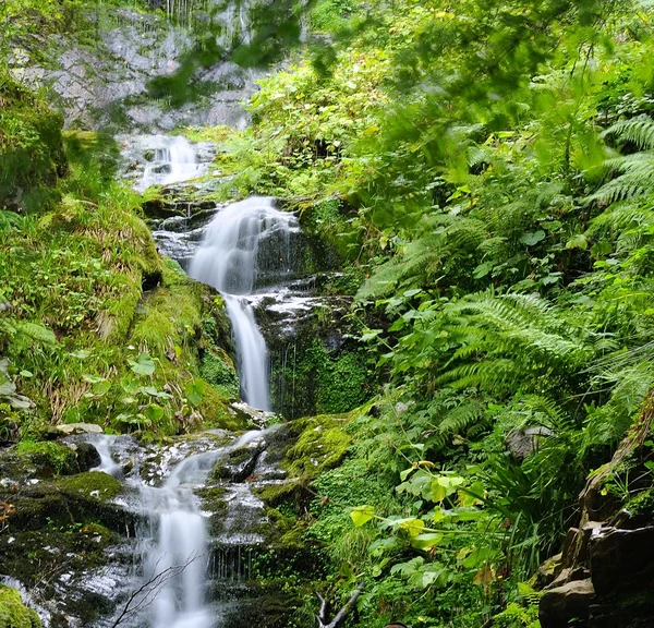 Waterfall. — Stock Photo, Image