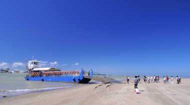 National Park Doñana.
