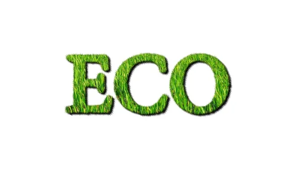 Erba ecologica . — Foto Stock