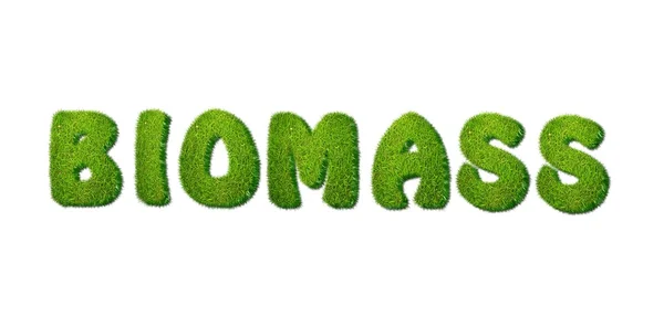 Biomassa. — Fotografia de Stock