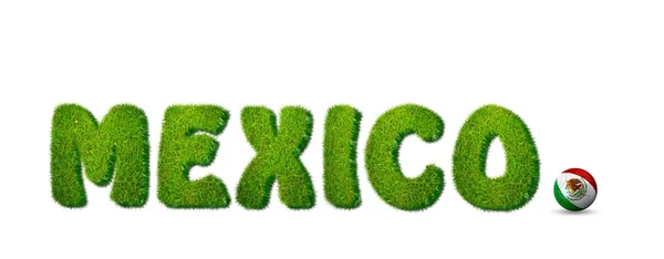 Mexico soccer. — Stock Photo, Image