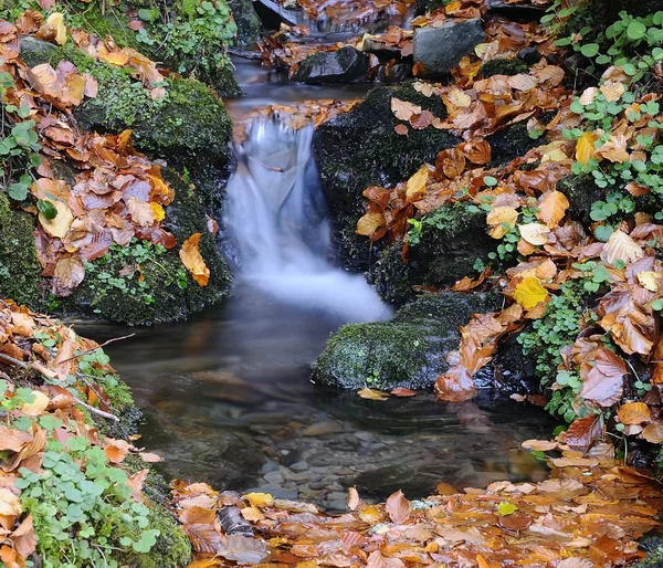 Podzimní vodopád. — Stock fotografie