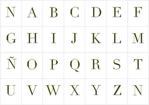 Alphabet or — Photo