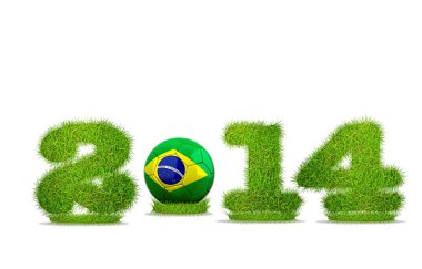 Brezilya futbol 2014.