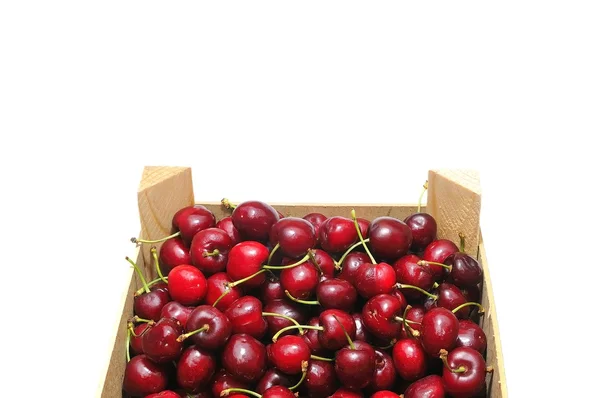 Cherries. — Stock Photo, Image