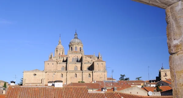 Kathedraal van Salamanca. — Stockfoto