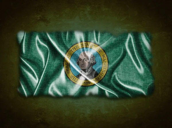 Washingtoner Flagge. — Stockfoto
