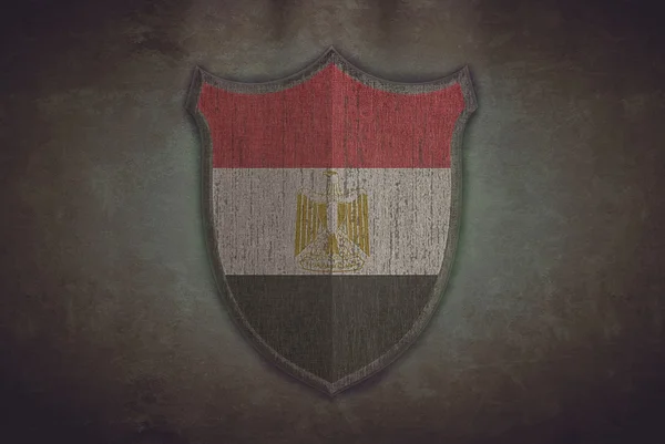 이집트 국기와 함께 방패. — 스톡 사진