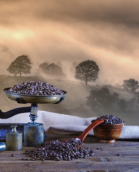 Kaffe med skala och kaffebönor. — Stockfoto