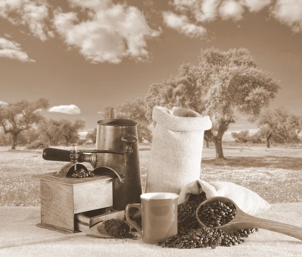 コーヒー豆の袋. — ストック写真
