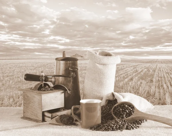 コーヒー豆の袋. — ストック写真