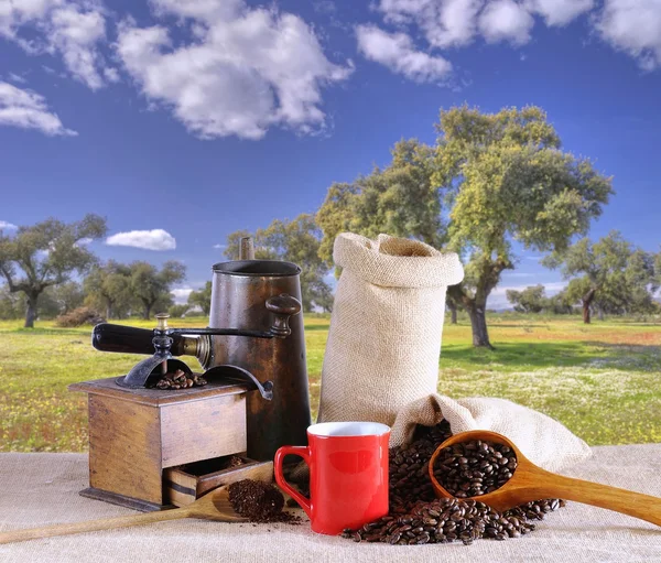 Väska av kaffebönor. — Stockfoto