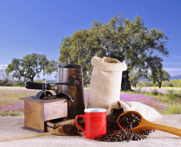 Väska av kaffebönor. — Stockfoto