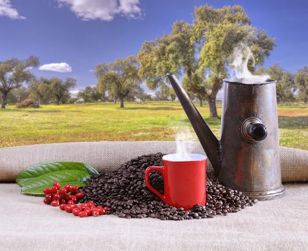 Csésze kávé a régi pot. — Stock Fotó
