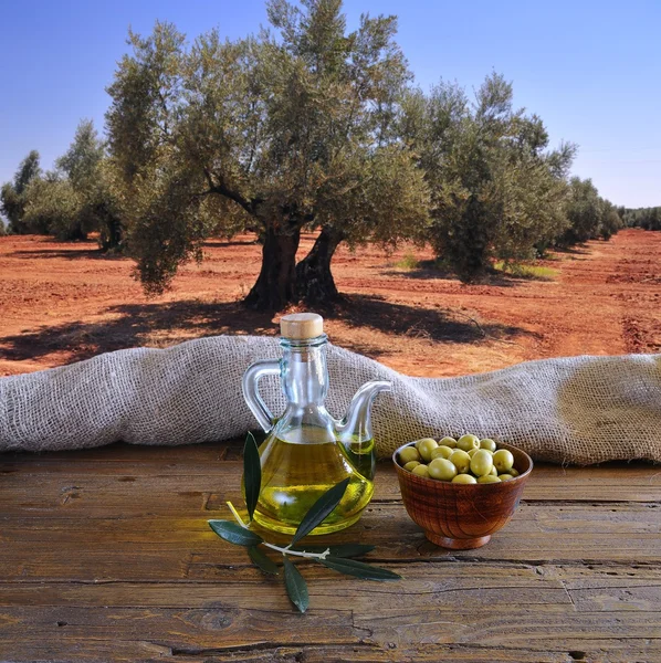 Olive oil. — Stock Photo, Image