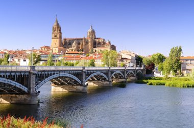 Salamanca cathedral. clipart