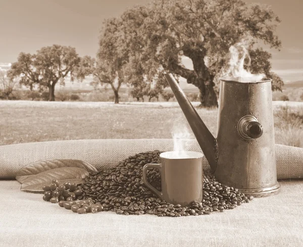 Taza de café con olla vieja . —  Fotos de Stock