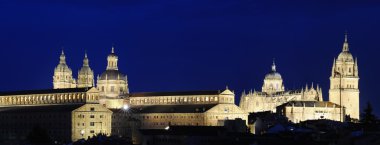Salamanca cathedral ve clerecia kuleleri.