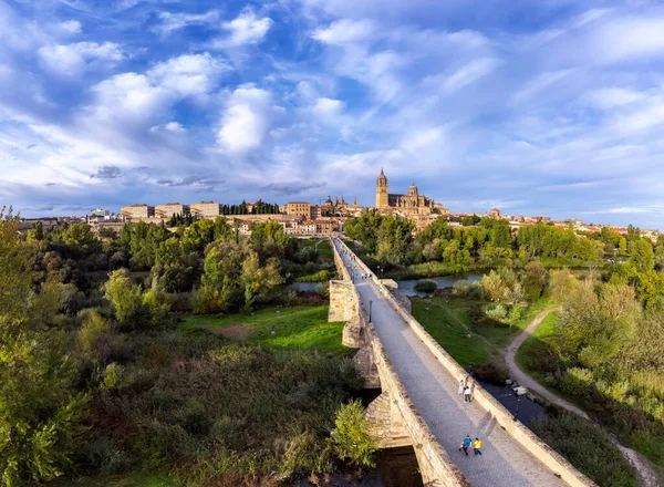 Vista Aérea Salamanca Con Catedral Fondo Puente Romano Primer Plano — Foto de Stock