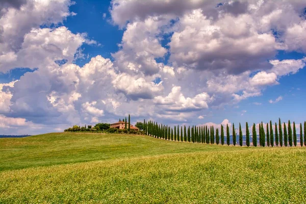 Toscana Itália Julho 2018 Cipreste Prado Com Casa Típica Toscana — Fotografia de Stock