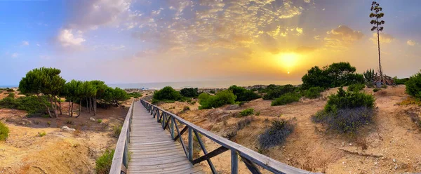 Sand dunes that give access to La Barrosa beach in Sancti Petri at sunset, Cadiz, Spain.