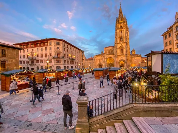 Oviedo Španělsko Prosince 2020 Oviedská Katedrála Vánoční Výzdobou Asturie Španělsko — Stock fotografie