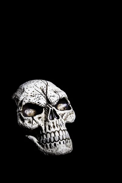 Skull Isolated on Black — Stock Photo, Image