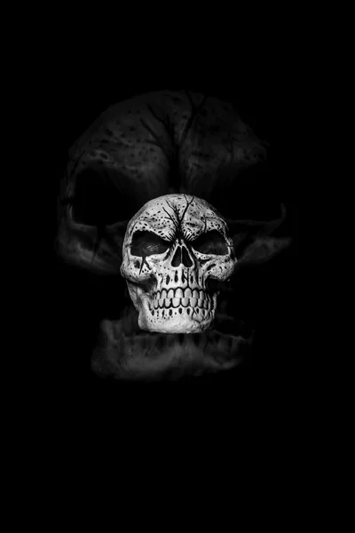 Ghost Skull II — Stock Photo, Image