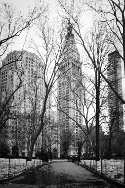 madison square park - new york city kışın