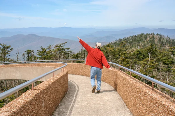 Pretending to Fly at Clingman 's Dome — стоковое фото