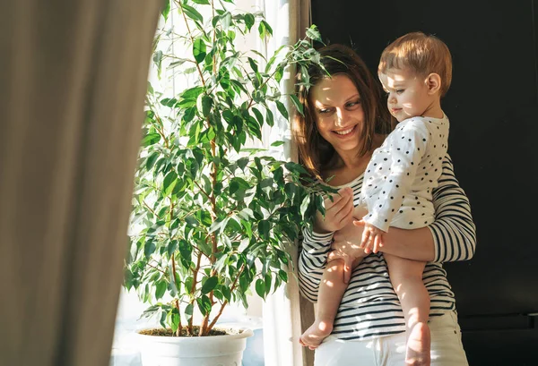 Счастливая Мама Молодая Женщина Маленькая Дочка Смотрят Большое Растение Комнате Стоковая Картинка
