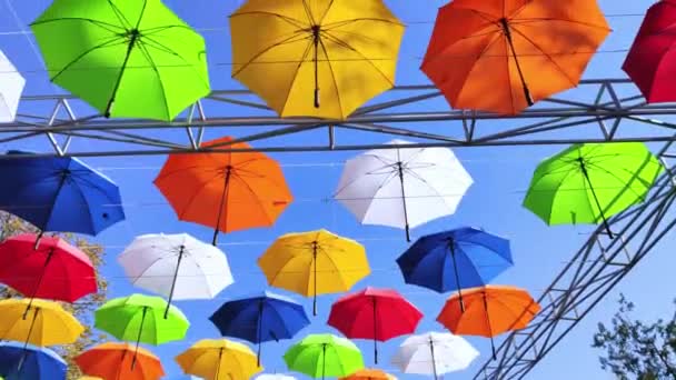 Bunte Regenschirme Ansicht Von Unten Objekt Der Konzeptkunst Keine Etiketten — Stockvideo