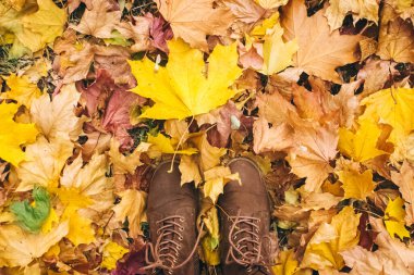 Sonbahar yaprakları. Yerde altın ve kırmızı yapraklar, ayakkabılar ve eller. İmza için bir yeri olan sonbahar arkaplanı. Doğanın güzelliği. Solma ve yeniden doğuş kavramı.