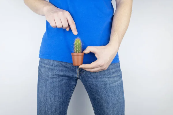 Concept. A man holds a cactus near his fly. Problems of the genitourinary system. Prostatitis. Painful bowel movements. Men problems. Oncology. Prostate problems