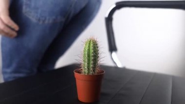 Kavram. Rektal ağrının sembolü olarak kaktüs tutan bir adam. İnce bağırsağın varis damarları. Rektum ağrısı, hemoroit ve vücudun dışkılama sisteminde ağrı. Proktoloji