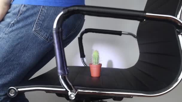 Concept Homme Tient Cactus Comme Symbole Douleur Rectale Varices Intestin — Video