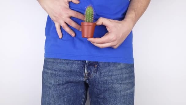 Concepto Hombre Sostiene Cactus Cerca Mosca Problemas Del Sistema Genitourinario — Vídeo de stock