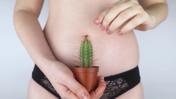 Nahaufnahme einer Frauenleiche. Ein Kaktus vor dem Hintergrund innerer Organe symbolisiert weibliche Schmerzen. Gebärmutter, Gebärmutter und Eierstöcke. Konzeptfoto über weibliche Intimität. 