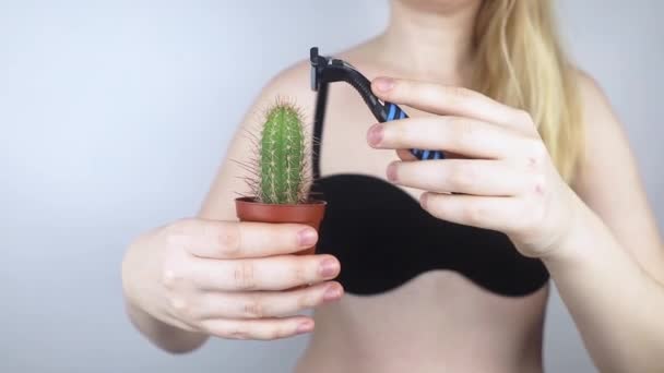 Kaktusz Koncepció Borotválatlan Hónalj Lány Egy Kaktuszt Tart Hónalja Előtt — Stock videók