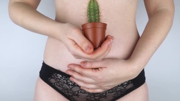 Nærbillede Kvindekrop Kaktus Baggrund Indre Organer Symboliserer Kvindelige Smerter Livmoder – Stock-video