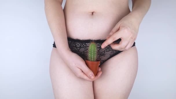 Chica Sostiene Cactus Frente Pubis Símbolo Rastrojo Problemas Con Depilación — Vídeo de stock