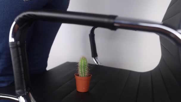Concept Woman Holds Cactus Symbol Rectal Pain Varicose Veins Lower — Stock Video