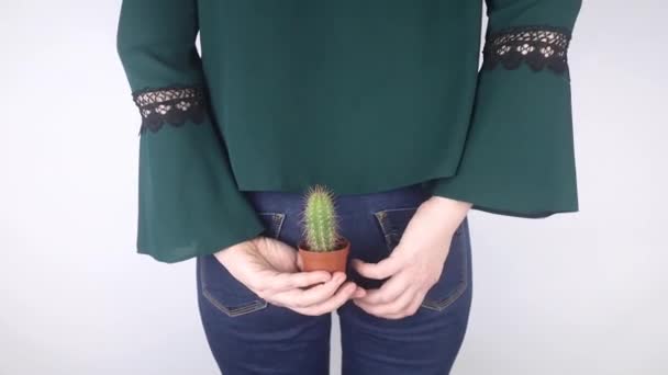 Concepto Una Mujer Sostiene Cactus Como Símbolo Dolor Rectal Venas — Vídeos de Stock