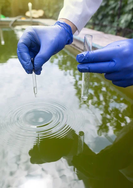 Water sample. Bacterial control of pool water. Checking the amount of algae, harmful substances and chemicals. Laboratory study of water from artificial reservoirs. Taking liquid into a test tube