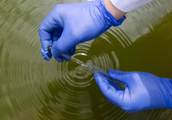 Water sample. Treatment facilities. Quality control of water that has been purified and processed. The laboratory assistant collects material for research. Liquid in a test tube. Sewage treatment