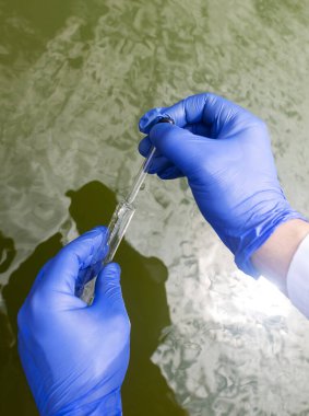 Water sample. Checking the condition of rivers or natural lakes. Water test for chemicals, bacteria, harmful substances, radiation. Collection of material in a test tube for further research.