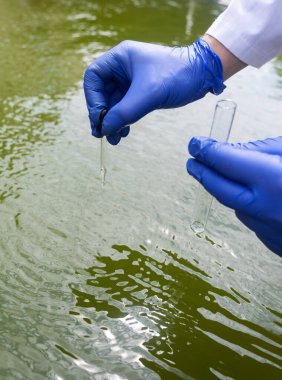 Water sample. Checking the condition of rivers or natural lakes. Water test for chemicals, bacteria, harmful substances, radiation. Collection of material in a test tube for further research.